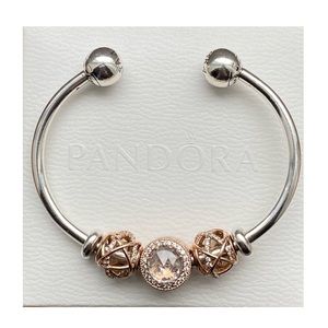 Pandora Open Bangle with Pandora Rose char…